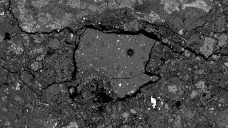 The 2024 New Jersey meteorite contains amino acids