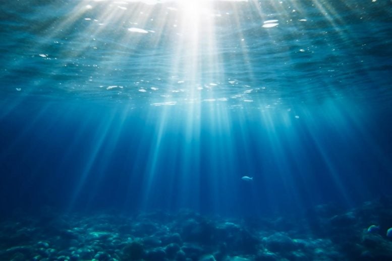 Scientists Warn a Silent Oxygen Crisis Is Spreading Through Earth’s Waters