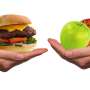 Not every meal has the same impact: Researchers reveal the hidden footprint of our food