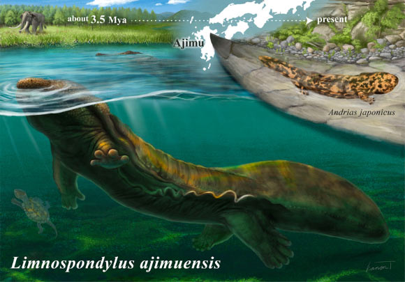 3.5-Million-Year-Old Fossil from Japan Reveals Lost Lineage of Giant Salamanders