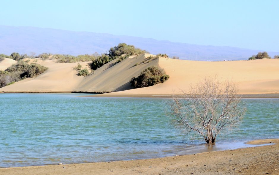 Ancient mystery on K’gari as world’s largest sand island lakes dried up during rainy era