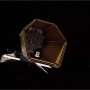 UK in pole position to lead key instrument in NASA's hunt for Earth-like worlds