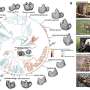 Why evolution never produced mammal teeth that slice and crush equally well