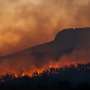 Wildfires: What can the UK and other nations learn from Australia's world‑leading fire response systems?
